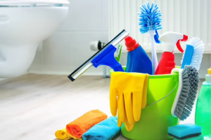 Messie Reinigung Lüneburg