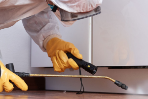 Messie Schädlingsbekämpfung Lüneburg